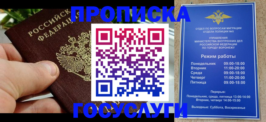 временная регистрация для школы в Гатчине